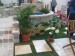 DSC01436.JPG
